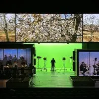 The Cherry Orchard